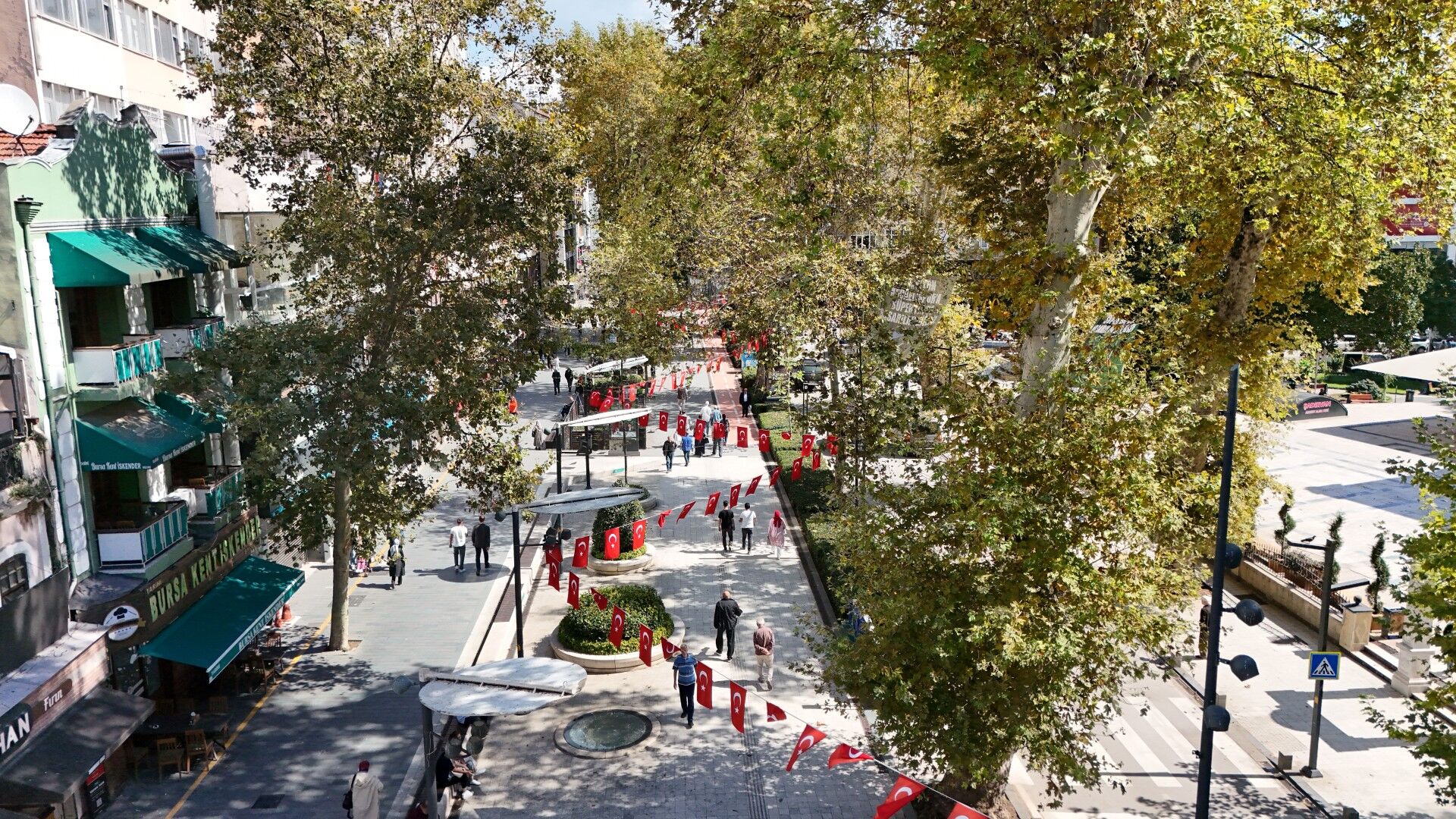 Kocaeli’de Asırlık Anıt Ağaçlara Tomografik Koruma-4