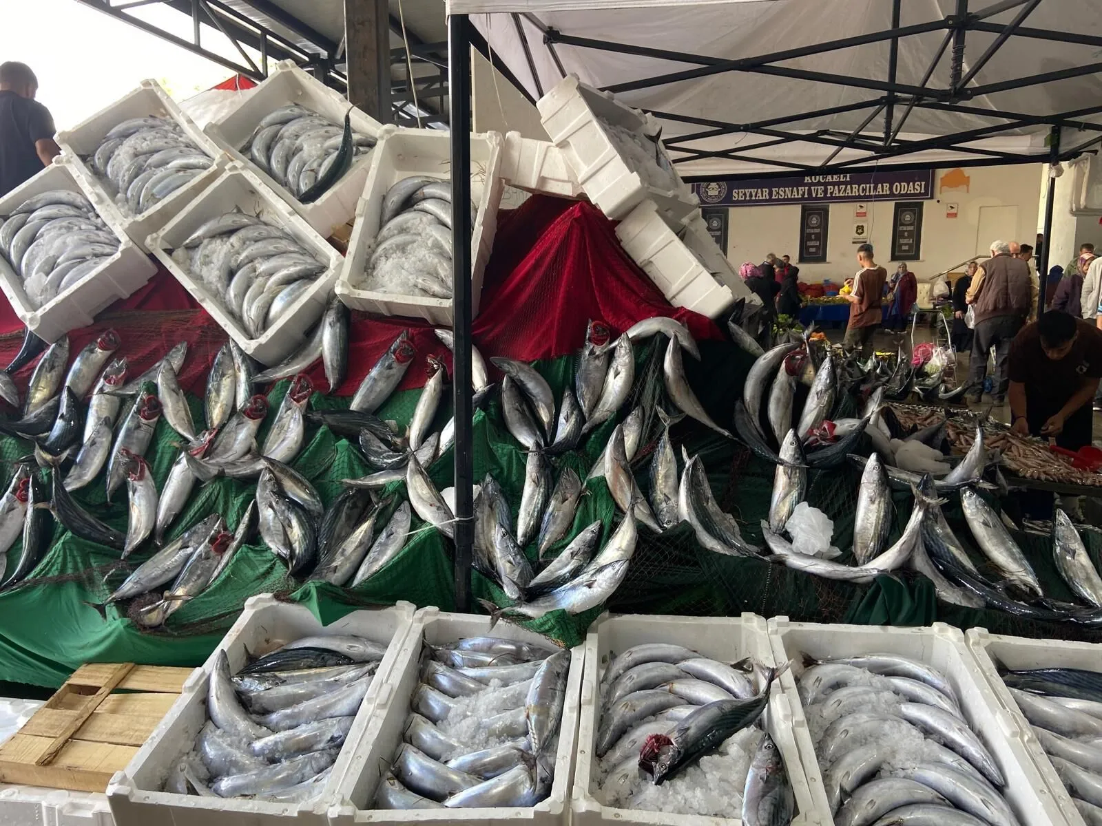 Balik