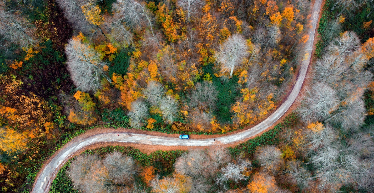 kartepe-43