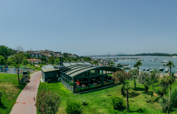 DARICA-1