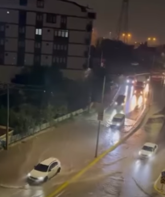 çayırovasel