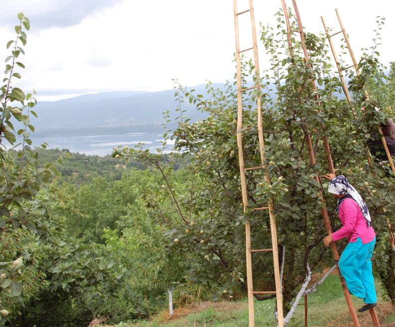 kartepe-55