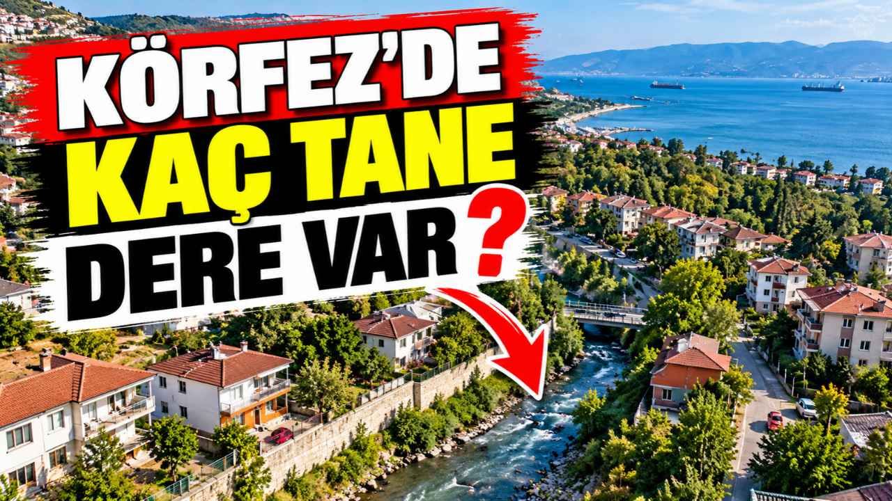Körfez'de kaç tane dere var? İşte Kocaeli Körfez ilçesindeki derelerin isimleri