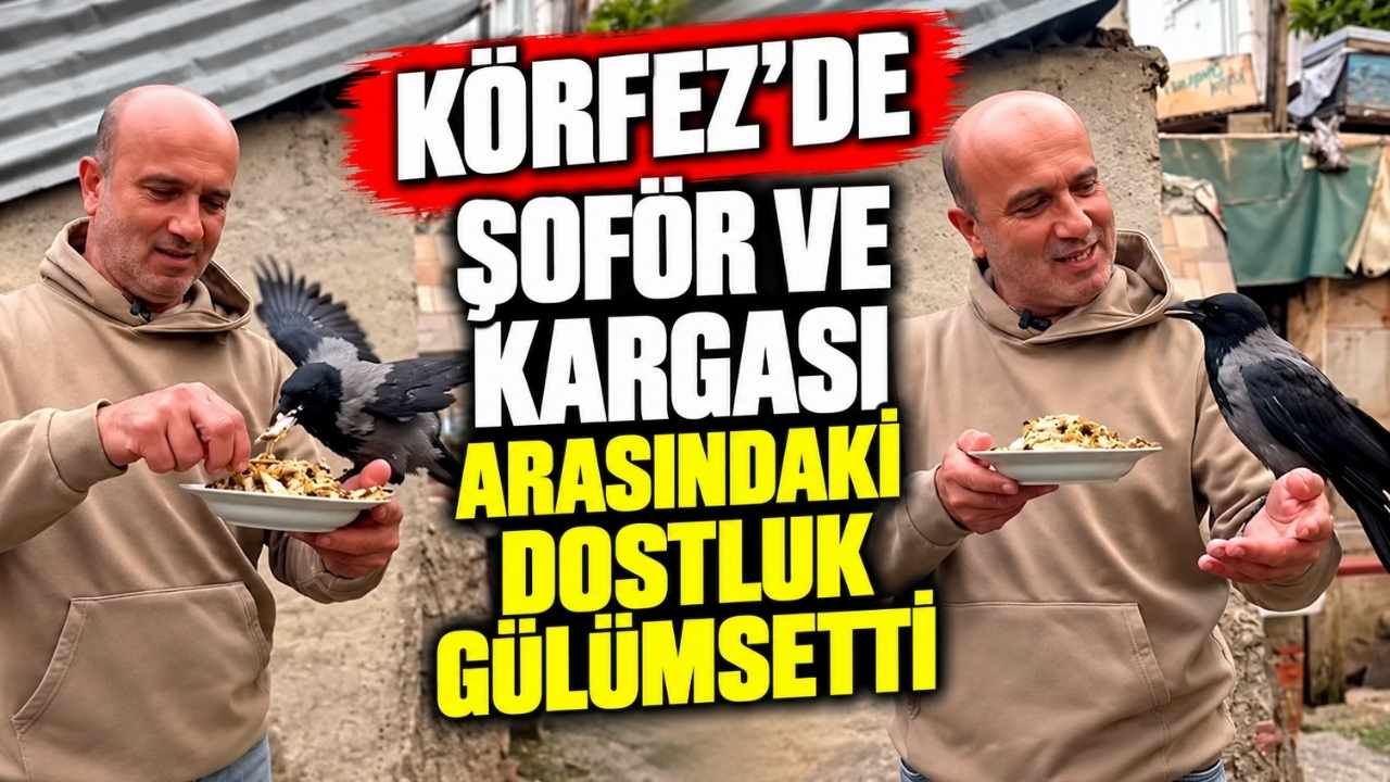 korfezli-sofor-omer-tek-ve-kargasinin-dostlugu-hamsi-1