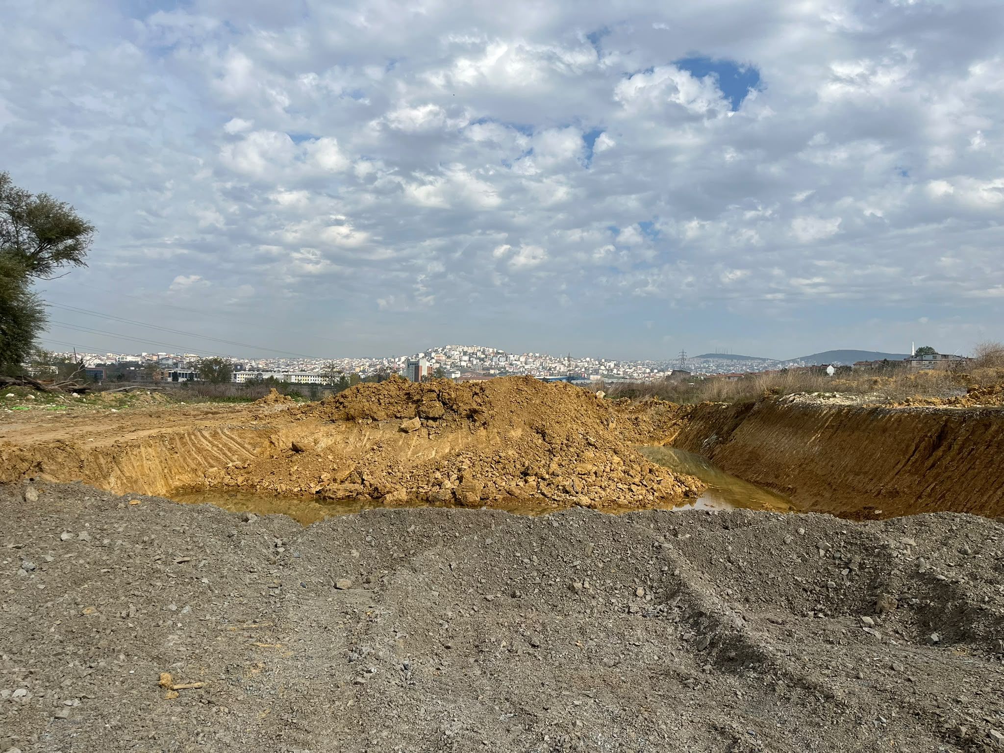 darıca