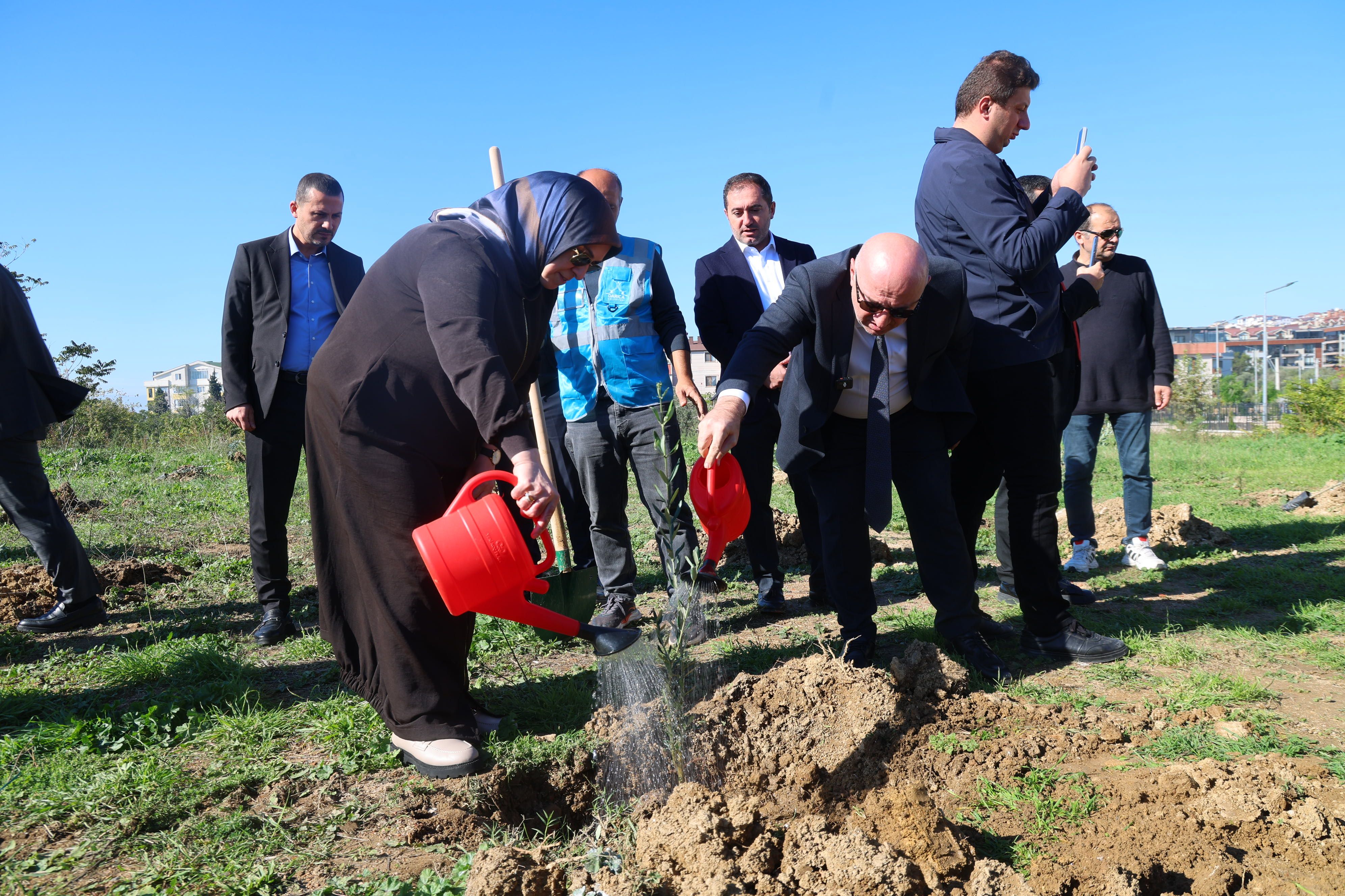 darica-zeytin-festivali-fidan-dikimi-millet-bahcesi-1